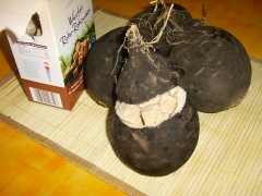 Warten auf den Hustensaft