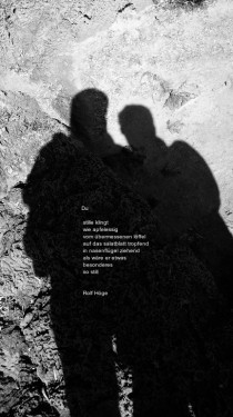 stille apfelessig sw